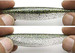 Guma na okonia, kopyto Keitech Easy Shiner 3" -7,6cm