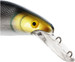 Wobler Westin Platypus Crankbait