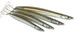 Wobler Westin Sandy Fixed Sbass