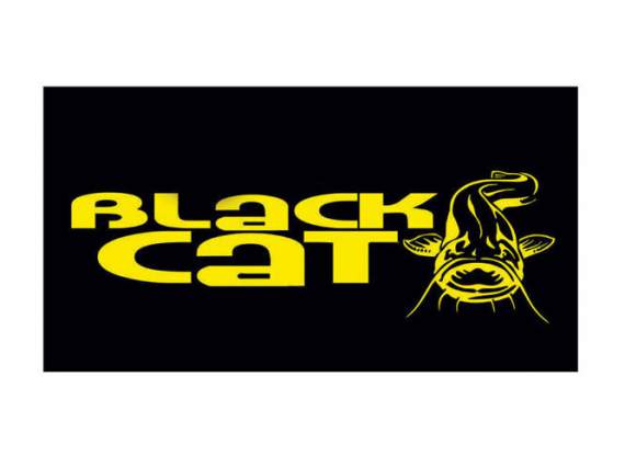Naklejka Black Cat 208x147mm